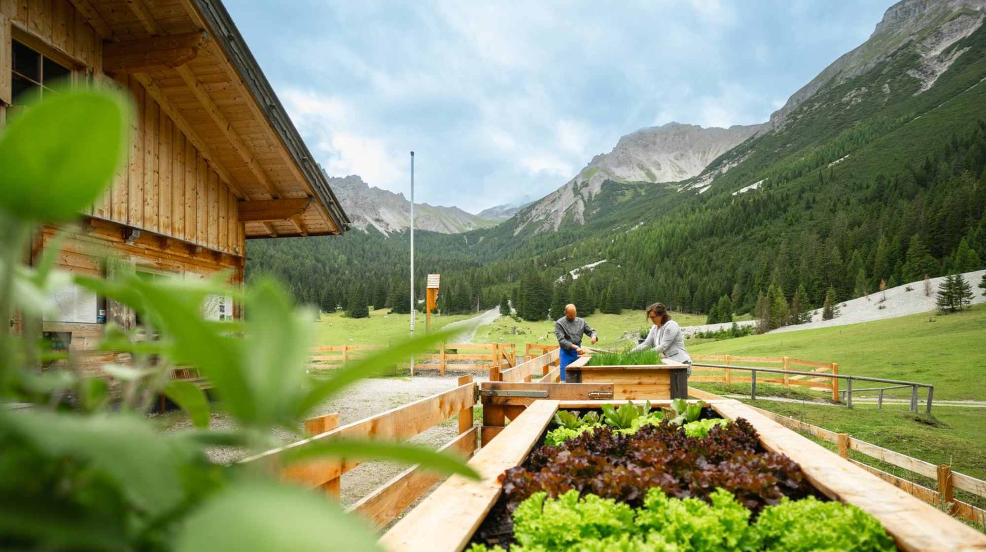 Die Matreier Ochsenalm liegt auf 1.558 m.