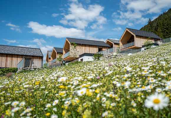 Blumenwiese mit Holzchalets am weissensee