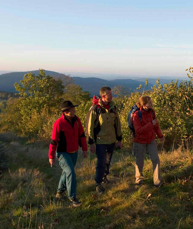Auf dem Rothaarsteig bei Lützel