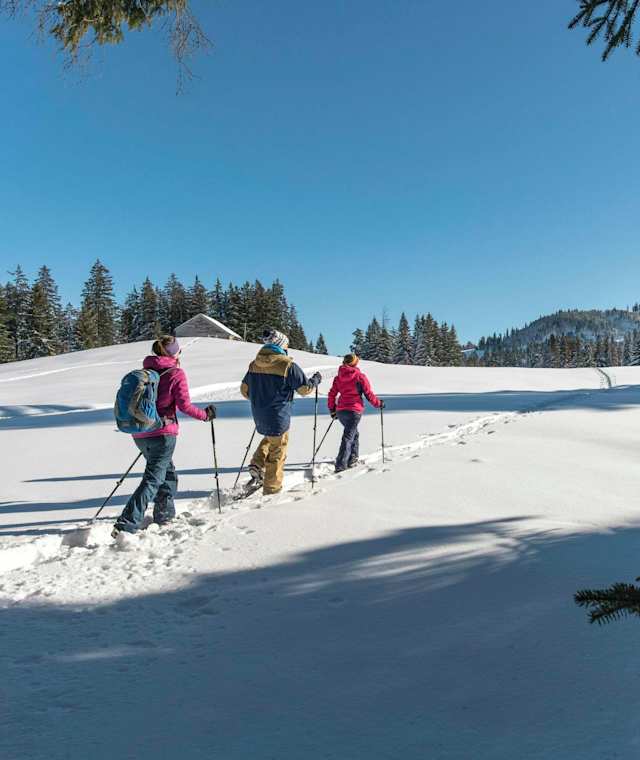 Schneeschuhtouren in Toggenburg