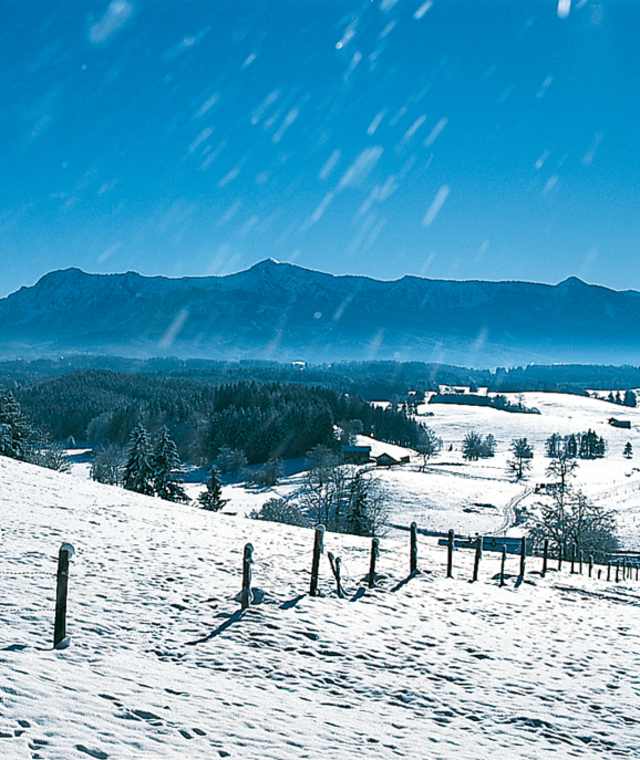 Ausblick von der Aidlinger Höhe.