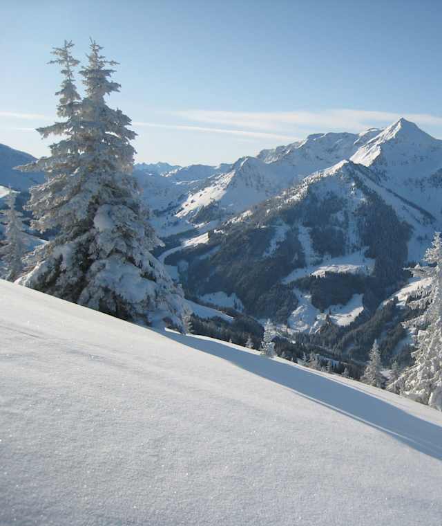 Blick in Richtung Galtenberg