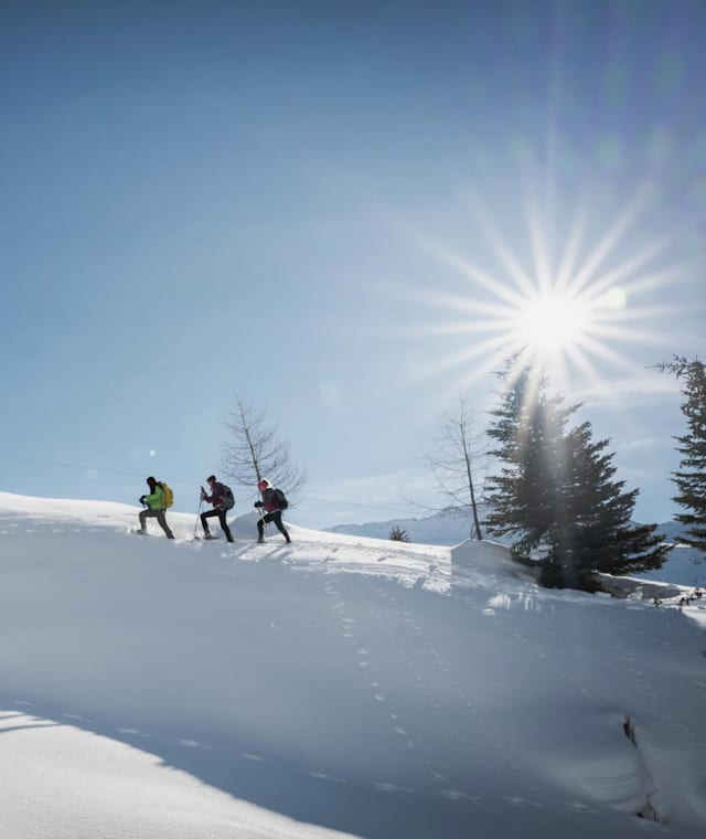 Schneeschuhwanderung durch das Virgental in Osttirol.